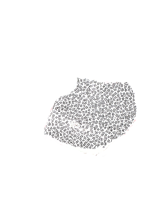 Minimalist abstract line illustration set on a plain white background. An irregular, organic oval-like silhouette is filled with a textured hatch pattern composed of thousands of tiny, randomly oriented black dash lines, creating a dense weave effect within the shape.
